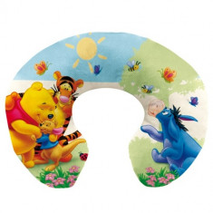 Pernuta Gat pentru calatorie Winnie Pooh foto