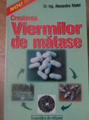 CRESTEREA VIERMILOR DE MATASE - ALEXANDRA MATEI foto