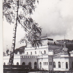 bnk cp Vatra Dornei - Pavilionul central al bailor - circulata