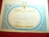 Diploma a Competitiei Daciada ,locul II Disc barbati 36-40 ani - 1988 Poiana Bv