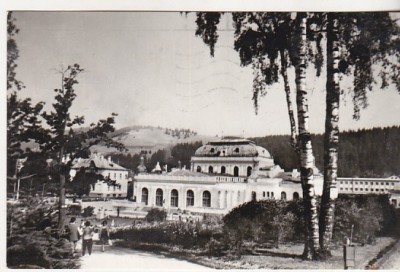 bnk cp Vatra Dornei - Vedere - circulata foto