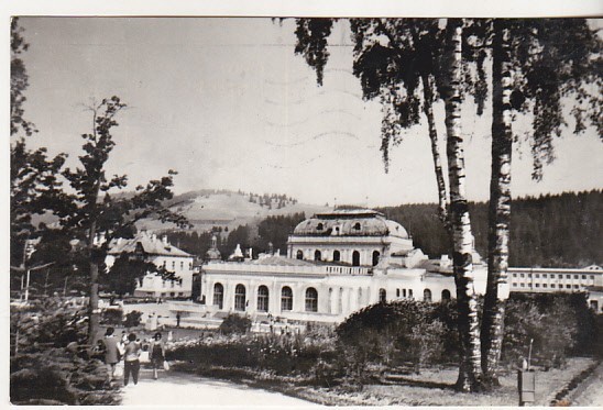 bnk cp Vatra Dornei - Vedere - circulata