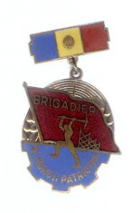 Insigna Brigadier al Muncii Patriotice foto