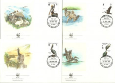 Virgin Islands 1988 - pelicani wwf, serie FDC foto