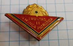 Insigna pionier - fruntas in munca patriotica II foto