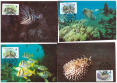 Antigua&amp;amp;Barbuda 1987 - Fauna WWF, serie maxime foto