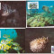 Antigua&amp;Barbuda 1987 - Fauna WWF, serie maxime