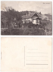 Orsova (aprox.1915) -Villa Hutterer, ilustrata necirculata foto