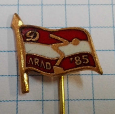 Insigna Dinamo Arad 1985, inot foto