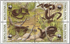 Moldova 1993 - serpi, WWF, serie neuzata foto