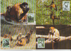 Honduras 1990 - maimuta paianjen, serie maxima foto