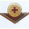 Insigna Pionier Sanitar, cls. I