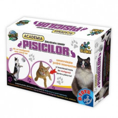 Jocuri Edu Science D-Toys Academia Pisicilor Set de Antrenat Pisici foto