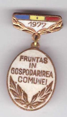 Insigna Fruntas in gospodarirea comunei 1977 foto