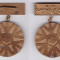 Medalie UTC Olimpiada de iarna a elevilor, sanie 1970 loc III