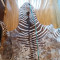 Piele naturala de zebra, 2 m x 1,5 m, prelucrata manual.