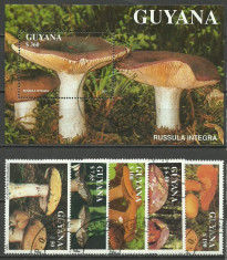 Guyana 1991 - ciuperci, serie+colita stampilata foto