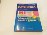 MATEMATICA CLASA A XII CULEGERE DE EXERCITII SI PROBLEME BURTEA