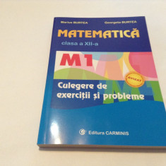 MATEMATICA CLASA A XII CULEGERE DE EXERCITII SI PROBLEME BURTEA