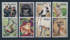 Rwanda 1978 - Fauna, animale, primate, serie neuzata foto