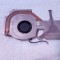 Heatsink - Hp Pavilion ZE4200