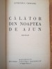 Anisoara Odeanu - Calator in noaptea de ajun. Princeps