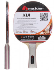 Xia * Table Tennis Paddle foto