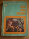 myh 533 - BUNA SEARA MELANIA - RODICA OJOG BRASOVEANU - ED 1976