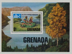 Grenada 1975 - Cercetasi, colita neuzata foto