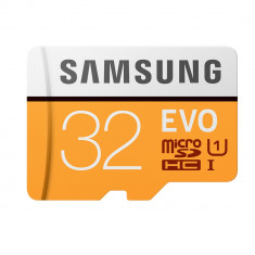 Card Memorie Evo Micro SDXC 32GB foto