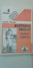 myh 311 - ANATOMIA OMULUI - VISCERELE TORACELUI - VIOREL RANGA foto