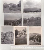 Bnk foto - Muntii Ciucas - lot 8 fotografii anii `60, Alb-Negru, Romania de la 1950, Natura