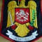 C7 204 - Ecuson tematica militara - pompieri - 20/26 CM - Imens!