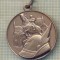 MEDALIE Y140 -ASOCIATIA NATIONALA ALPINA - ASOCIATIE DE ARME -ITALIA-(CALARET)
