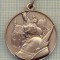 MEDALIE Y147 -ASOCIATIA NATIONALA ALPINA - ASOCIATIE DE ARME -ITALIA-(CALARET)