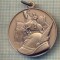 MEDALIE Y150 -ASOCIATIA NATIONALA ALPINA - ASOCIATIE DE ARME -ITALIA-(CALARET)