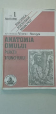 myh 311 - ANATOMIA OMULUI - PERETII TRUNCHIULUI - VIOREL RANGA foto