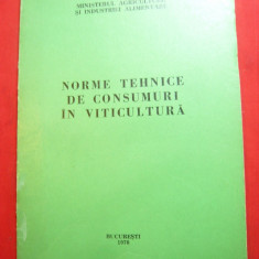 Ministerul Agriculturii- Viticultura- Norme Tehnice de Consumuri -1976 ,43 pag