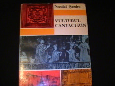 VULTURUL CANTACUZIN-NECULAI SANDRU- foto