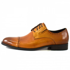 Pantofi eleganti barbati, din piele naturala, marca Alberto Clarinii, A053-55C-16-113, coniac, marime: 41 foto
