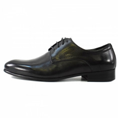 Pantofi eleganti barbati, din piele naturala, marca Eldemas, A362-20-01-24, negru, marime: 42 foto