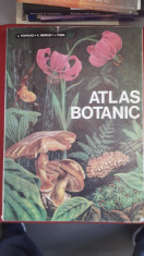 ATLAS BOTANIC - L. POPOVICI, C. MORUZI, I. TOMA foto