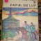 myh 521f - ACVILA SI CAPUL DE LUP - MIRCEA DUDULEANU - 1983 -COLECTIA CUTEZATORI