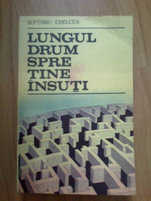 i Septimiu Chelcea - Lungul drum spre tine insuti