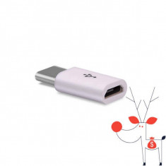 Adaptor incarcare transfer microusb mama usb Type C tata foto