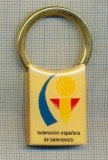 BRELOC Y75 PENTRU COLECTIONARI - FEDERACION ESPANOLA DE BALONCESTO - BASCHET