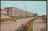 CPI B 10735 CARTE POSTALA - MANGALIA. PE FALEZA, RPR, Circulata, Fotografie