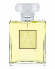 Apa de parfum Chanel No. 19 Poudre Dama 100ML foto