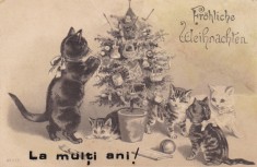 C.P.LA MULTI ANI ! ~ circulata 4 MAR.1902 ~ foto
