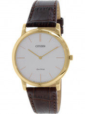 Ceas barbatesc Citizen Eco-Drive AR1113-12A maro AR1113-12A foto